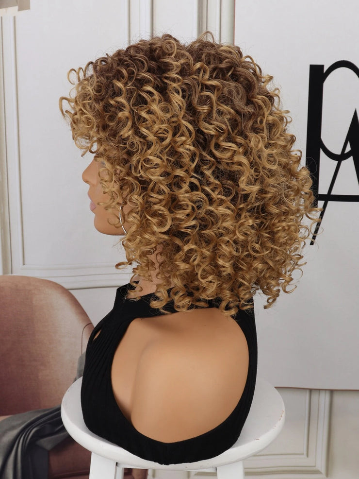 Curly Brown Short Hair Wig