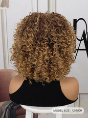 Curly Brown Short Hair Wig